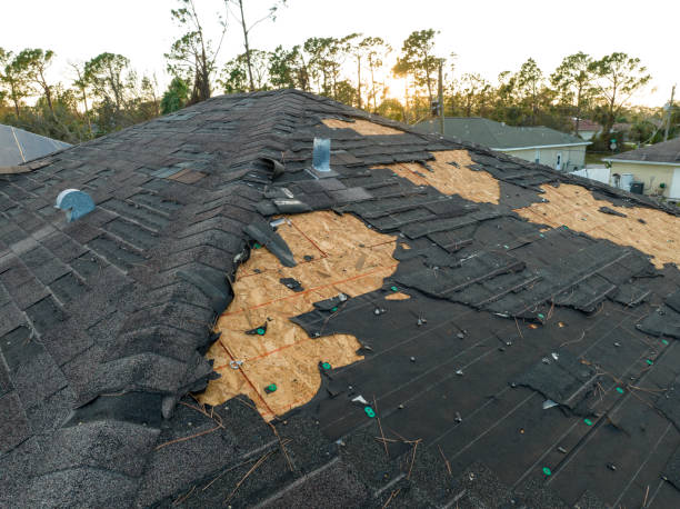Best Roof Coating and Sealing  in Duncan Falls, OH