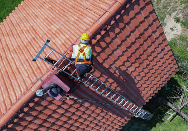 Best Roof Ventilation Installation  in Duncan Falls, OH